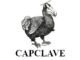 Capclave - DC Area SF Convention