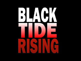 Black Tide Rising - by John Ringo