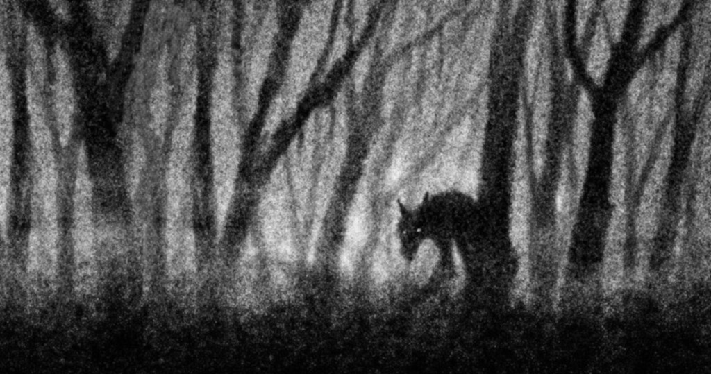 Werewolf, Stalking