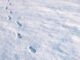 Footprints in the Snow