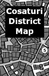 Cosaturi District Map